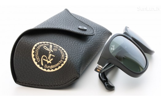 Ray-Ban Andy (RB4202 606971 55mm) saules brilles